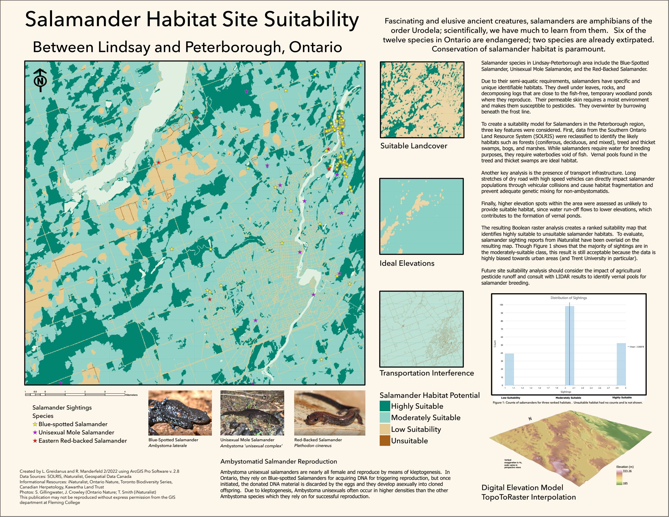 salamander habitat poster